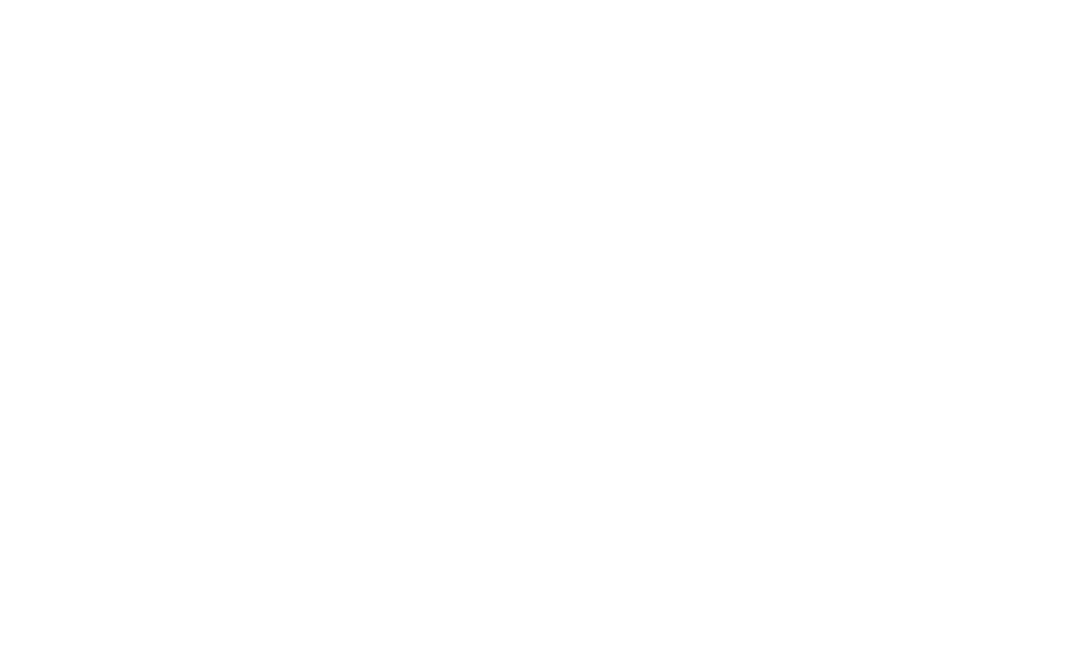 Zebronics